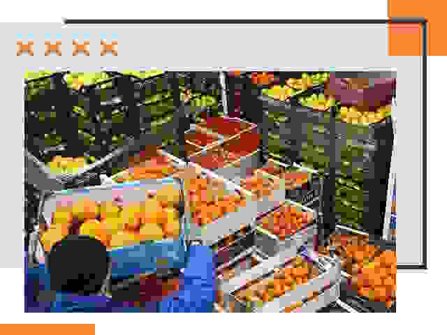 Перевозка скоропортящихся продуктов в Апшеронске